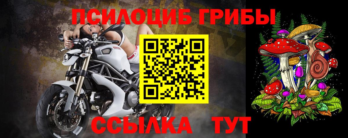 Псилоцибиновые грибы Magic Shrooms Орск