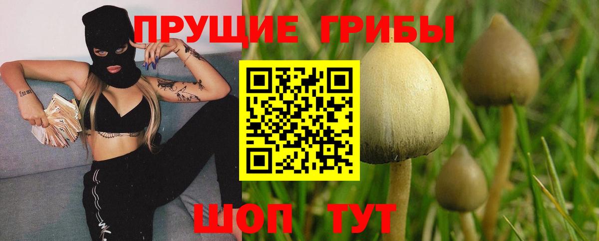 Орск  Галлюциногенные грибы прущие грибы  Вход с VPN 